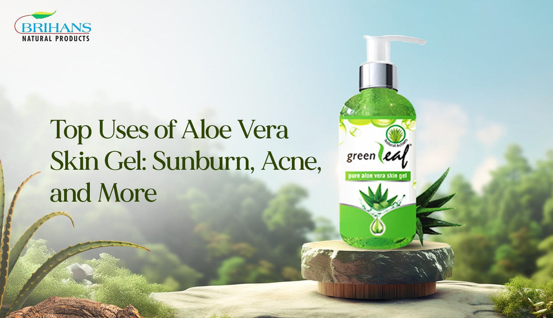 Top Uses of Aloe Vera Skin Gel: Sunburn, Acne and More
