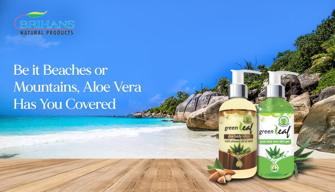 Be it Beaches or Mountains, Aloe Vera Has You Covered