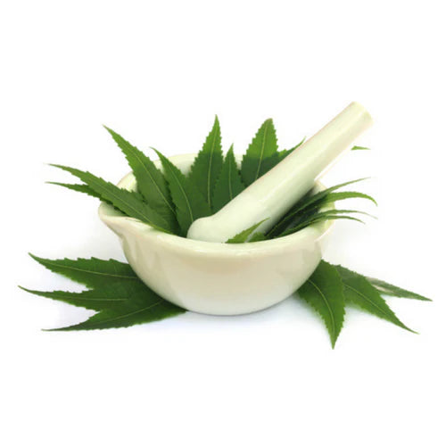 Neem