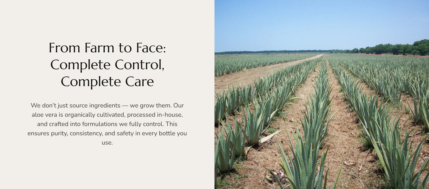 Brihans Natural Products Limited