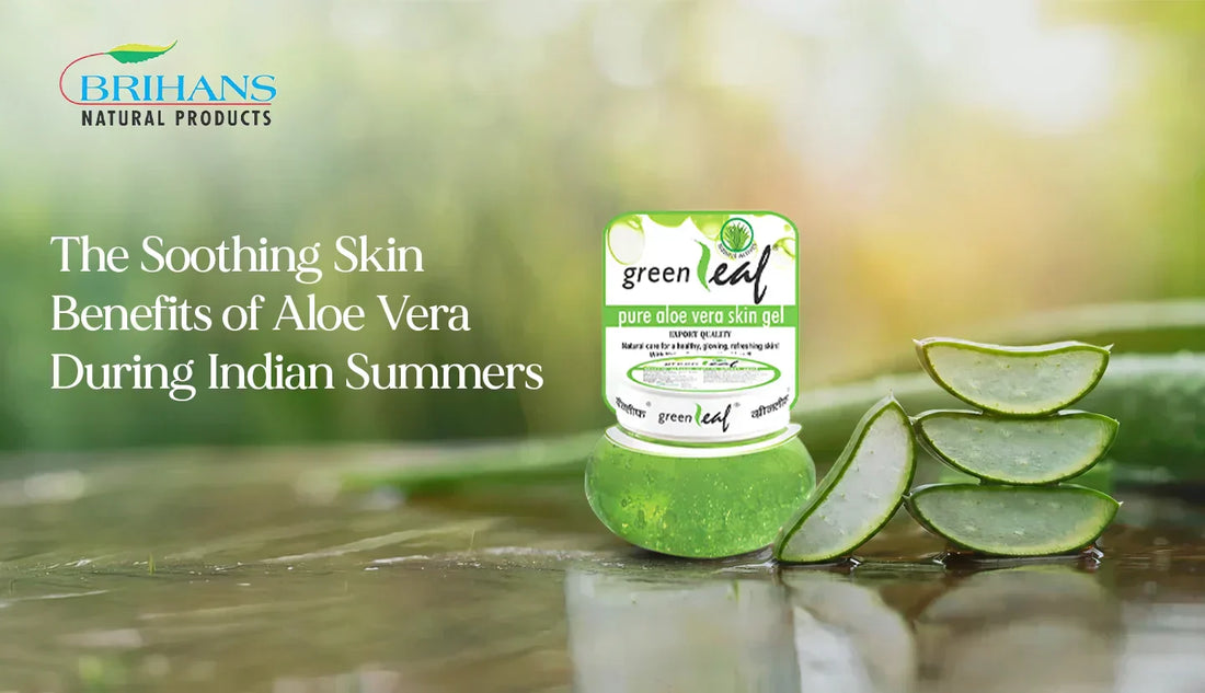 The Soothing Skin Benefits of Aloe Vera During Indian Summers