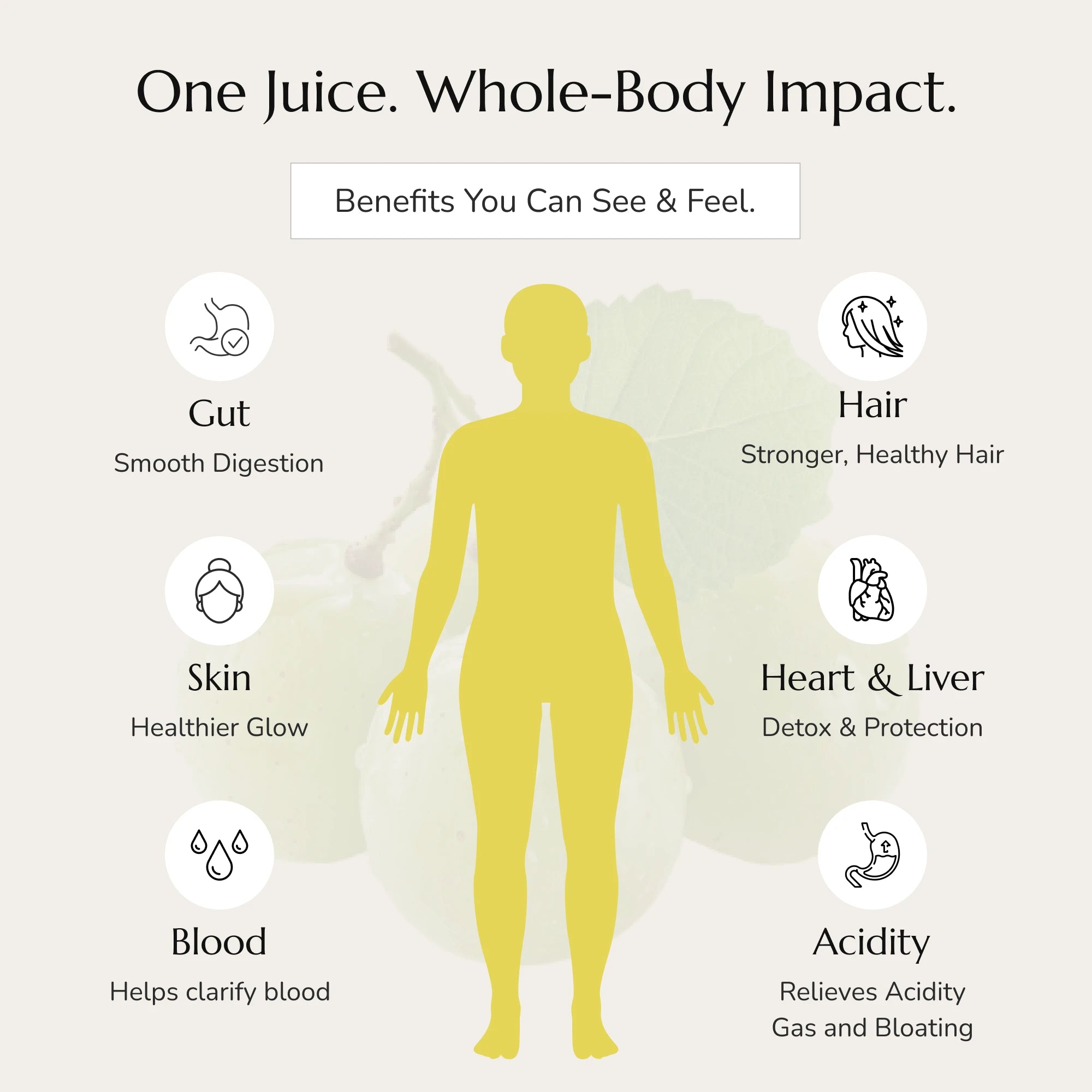 Brimune Amla Juice