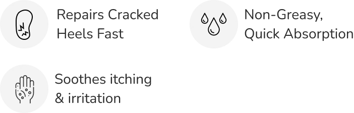 fileimage